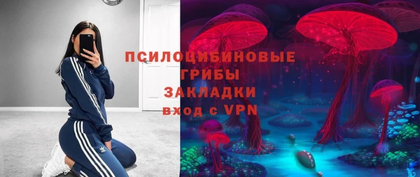 прущий лед Алексеевка