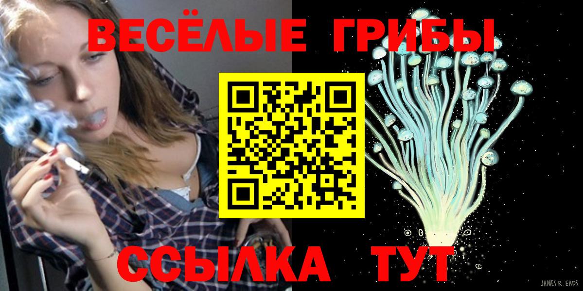 Псилоцибиновые грибы Magic Shrooms Глазов