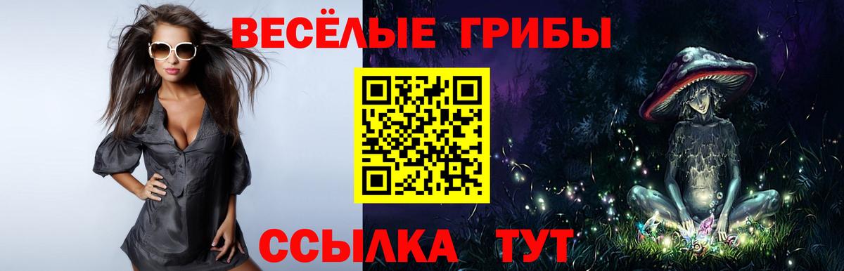Псилоцибиновые грибы мухоморы  Псилоцибиновые грибы Psilocybine cubensis  Вход с VPN  Глазов 